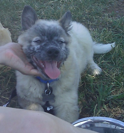 Rosco 3